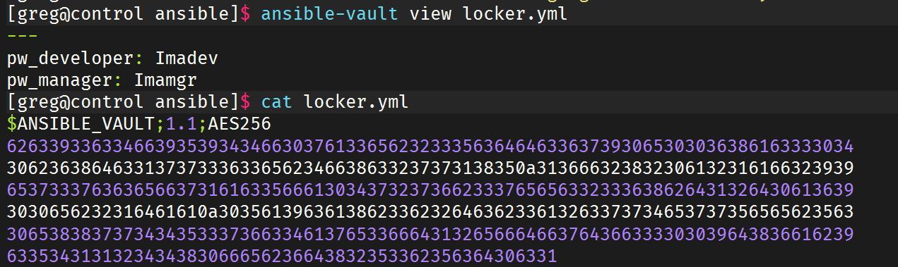 image-20250511194905941