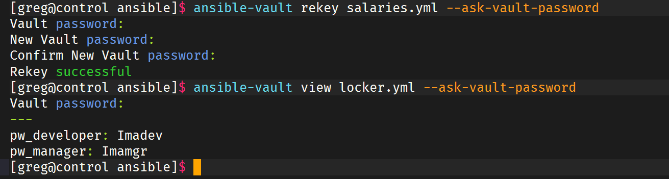 image-20250511195828294
