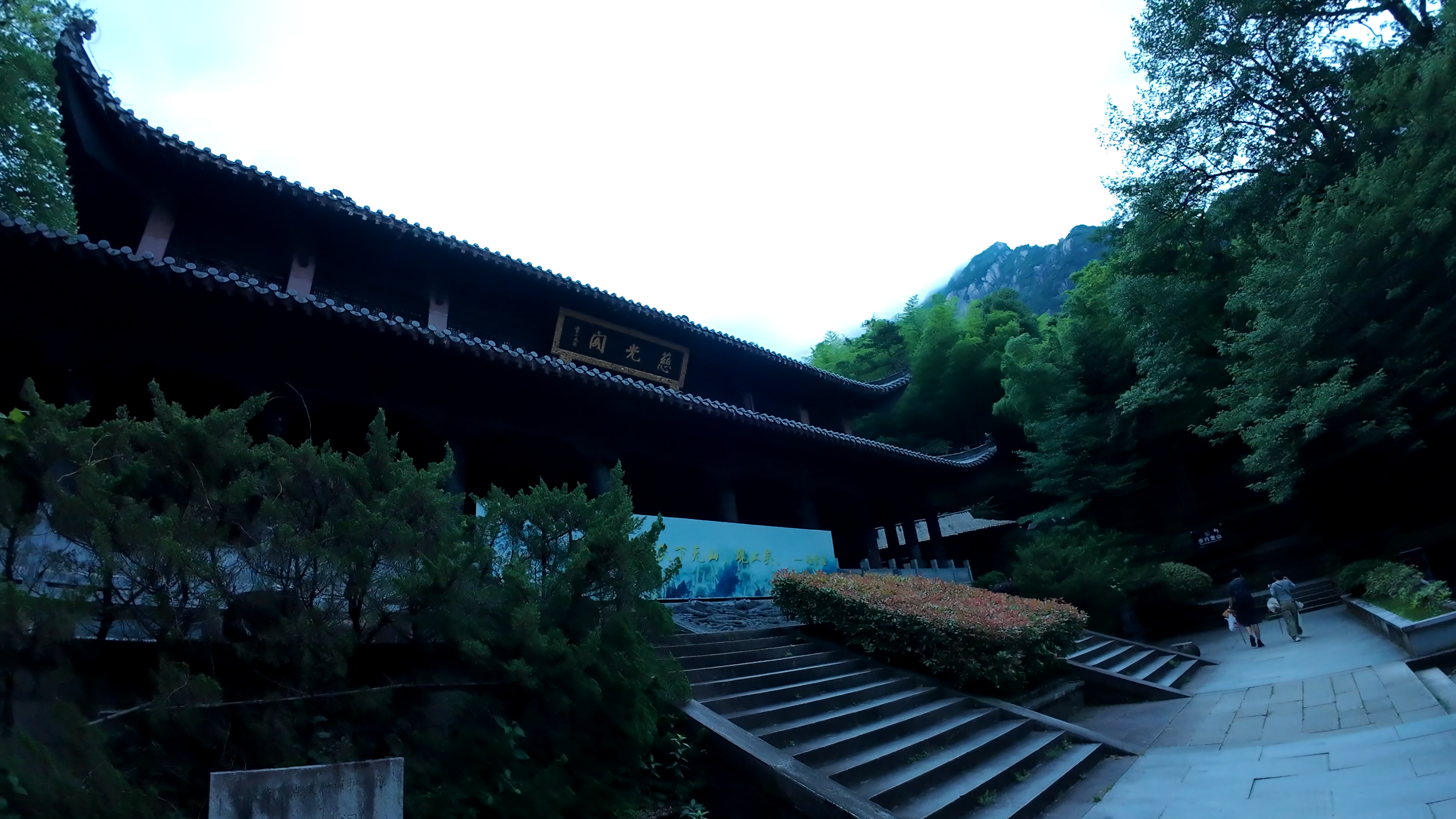 image-20250625102147402