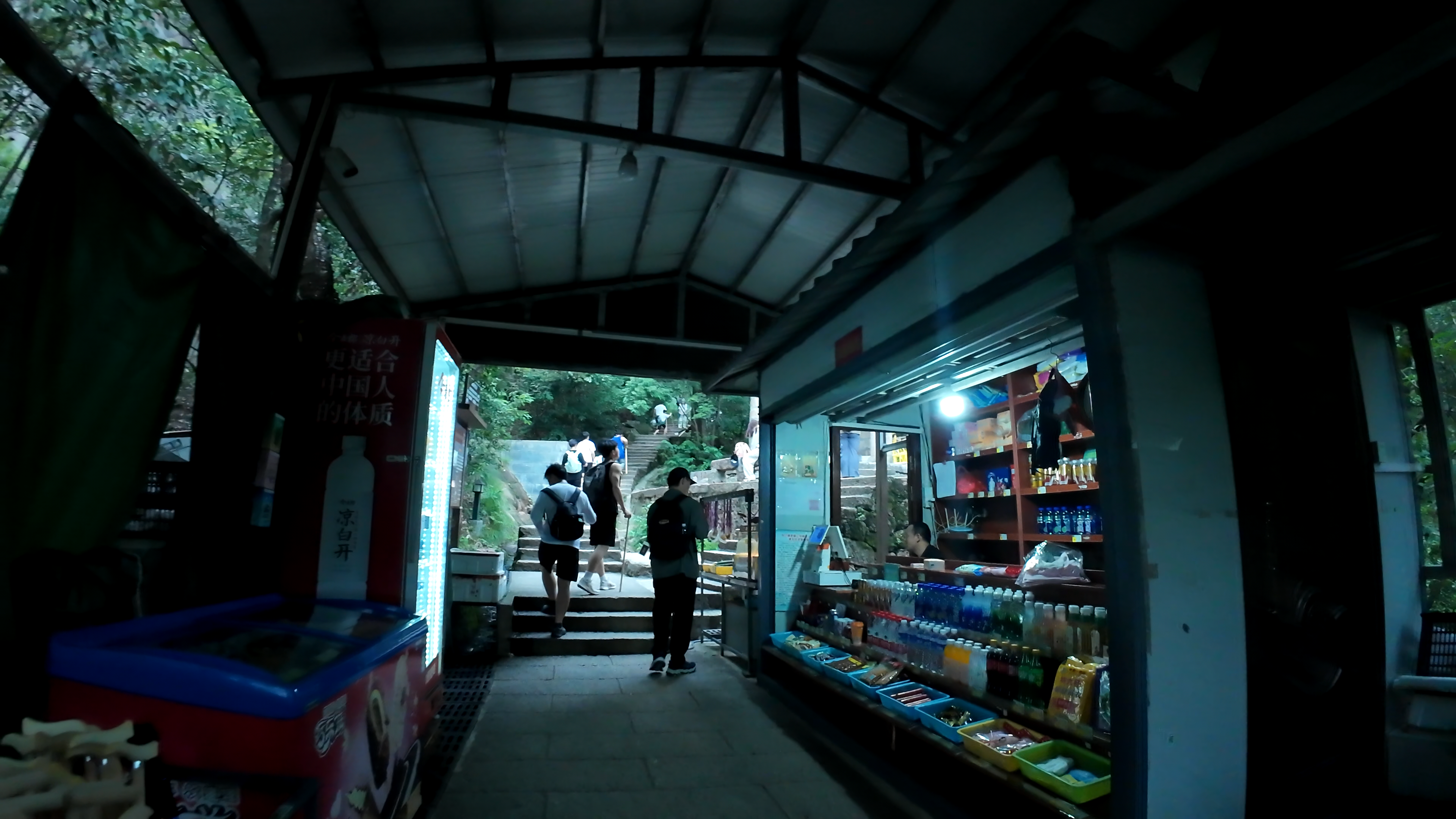 image-20250625102408253