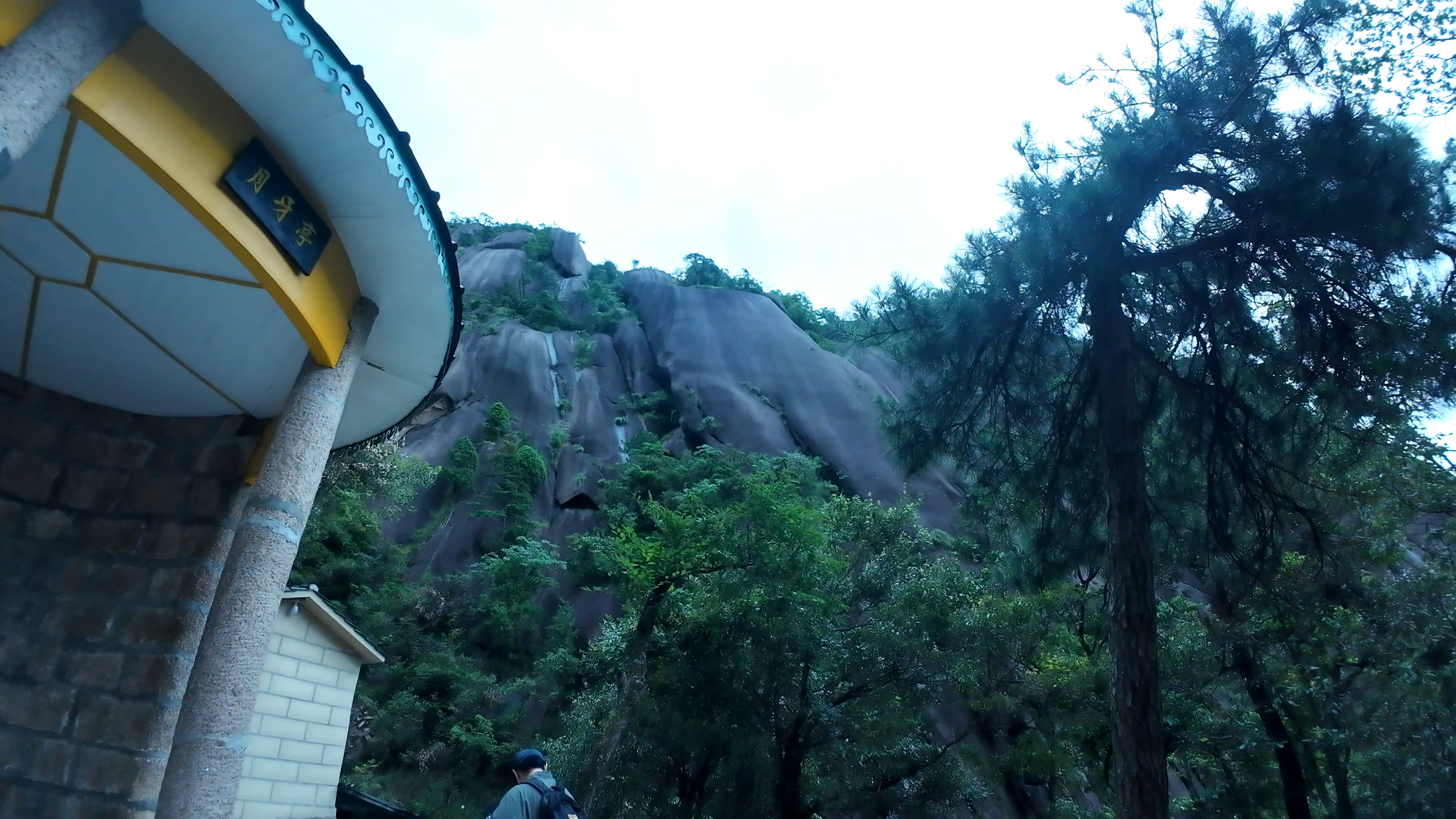 image-20250625102458590