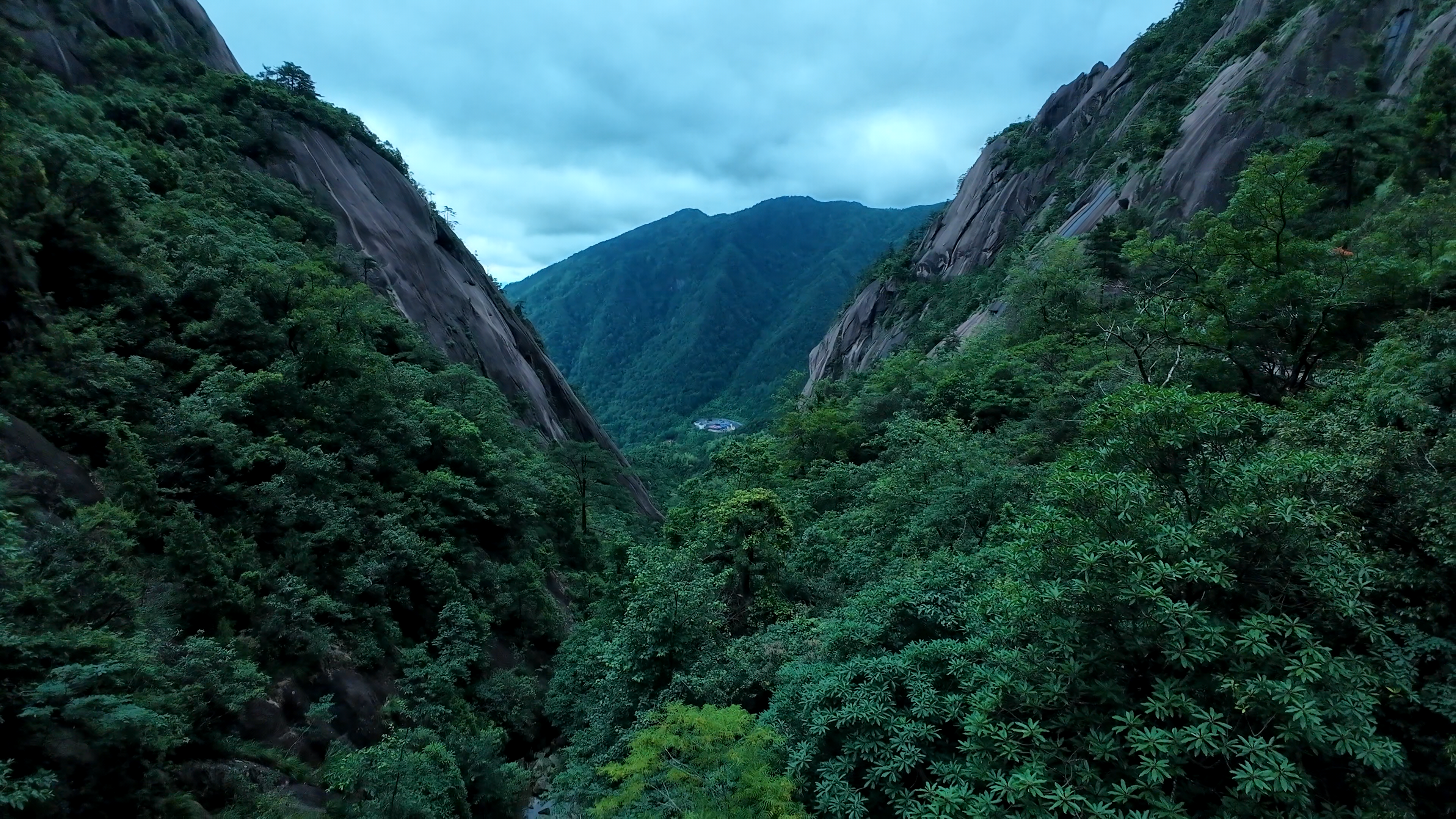 image-20250625102650330