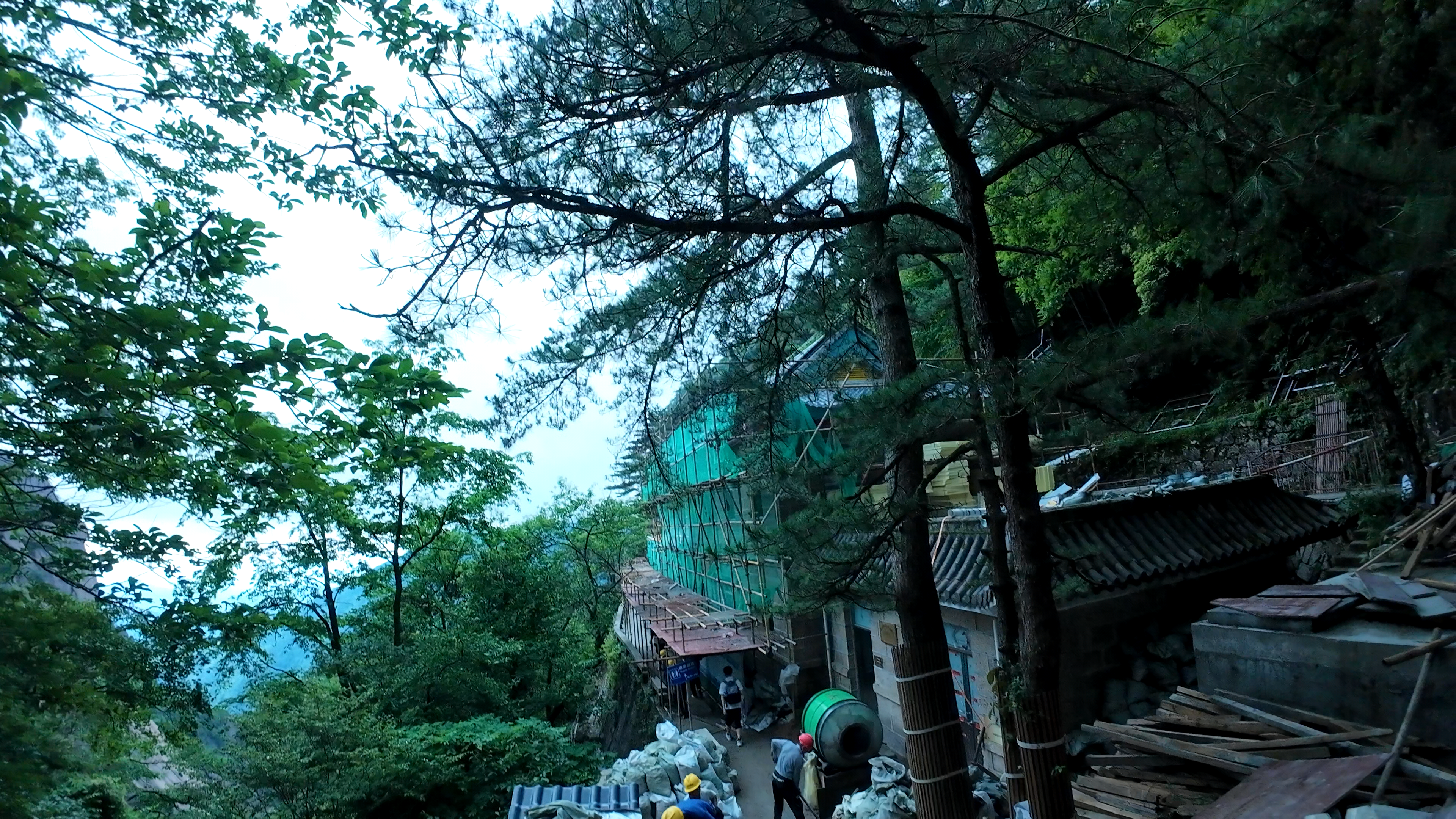 image-20250625103654677