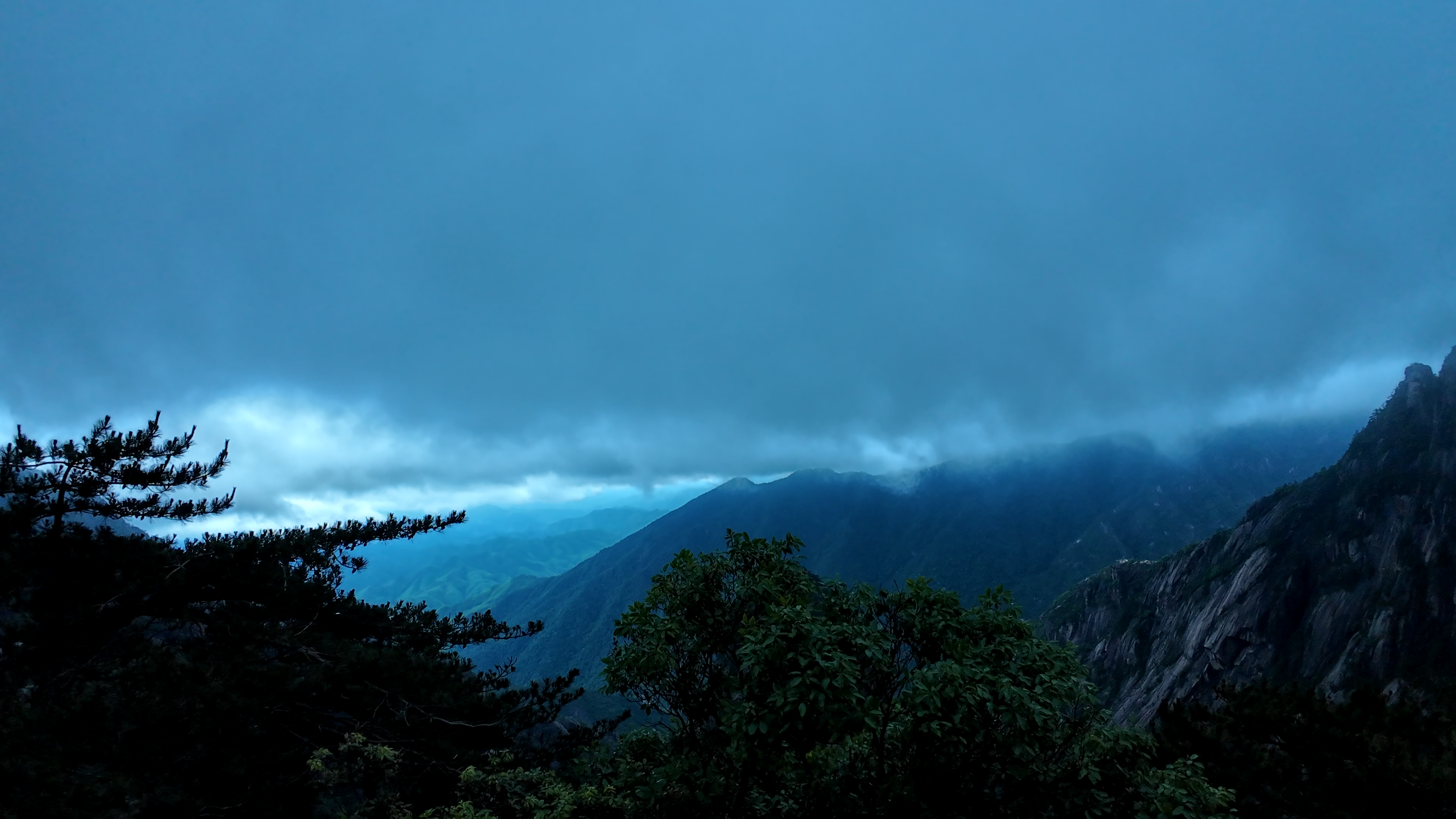 image-20250625103922308