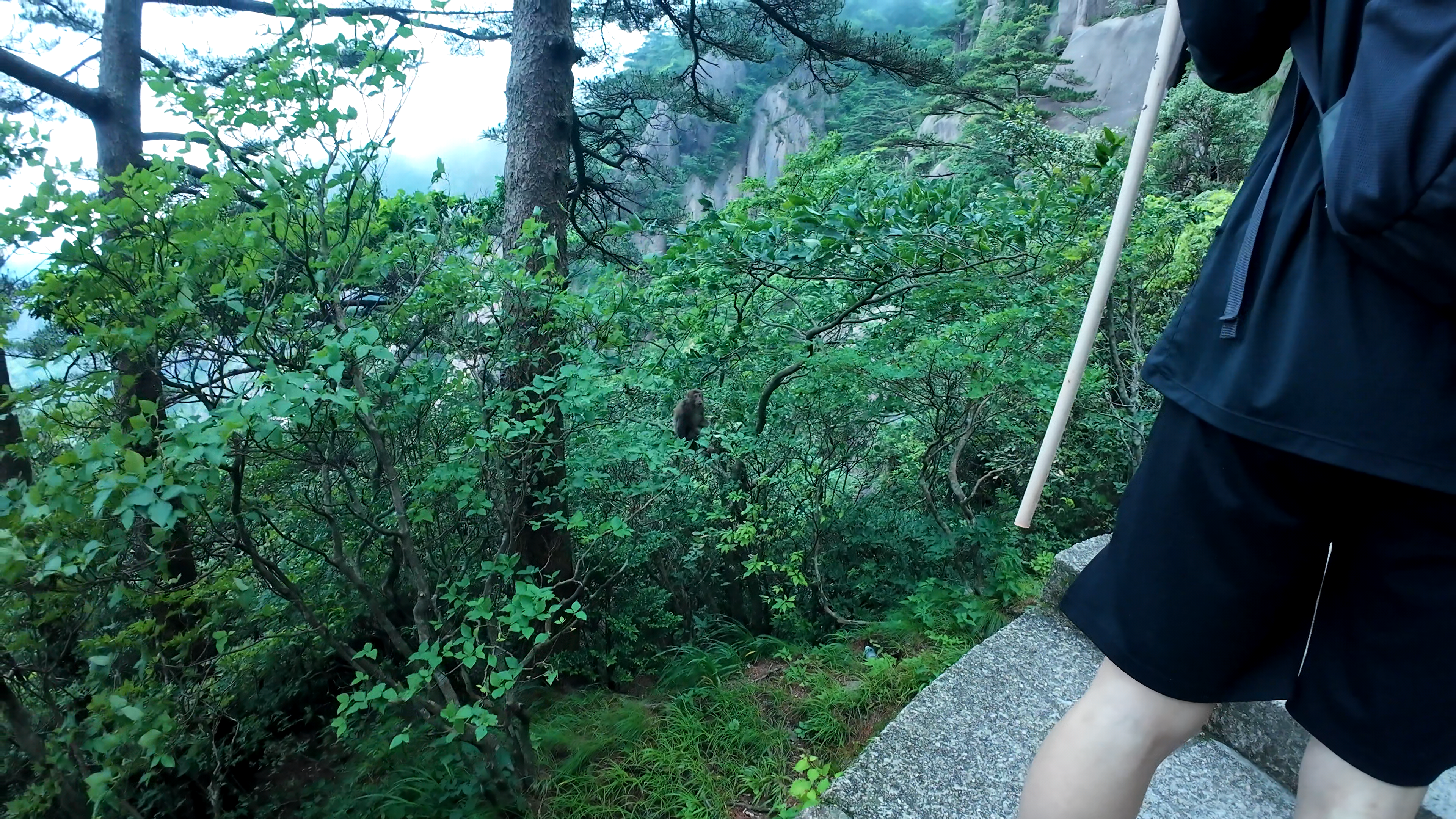 image-20250625104313745