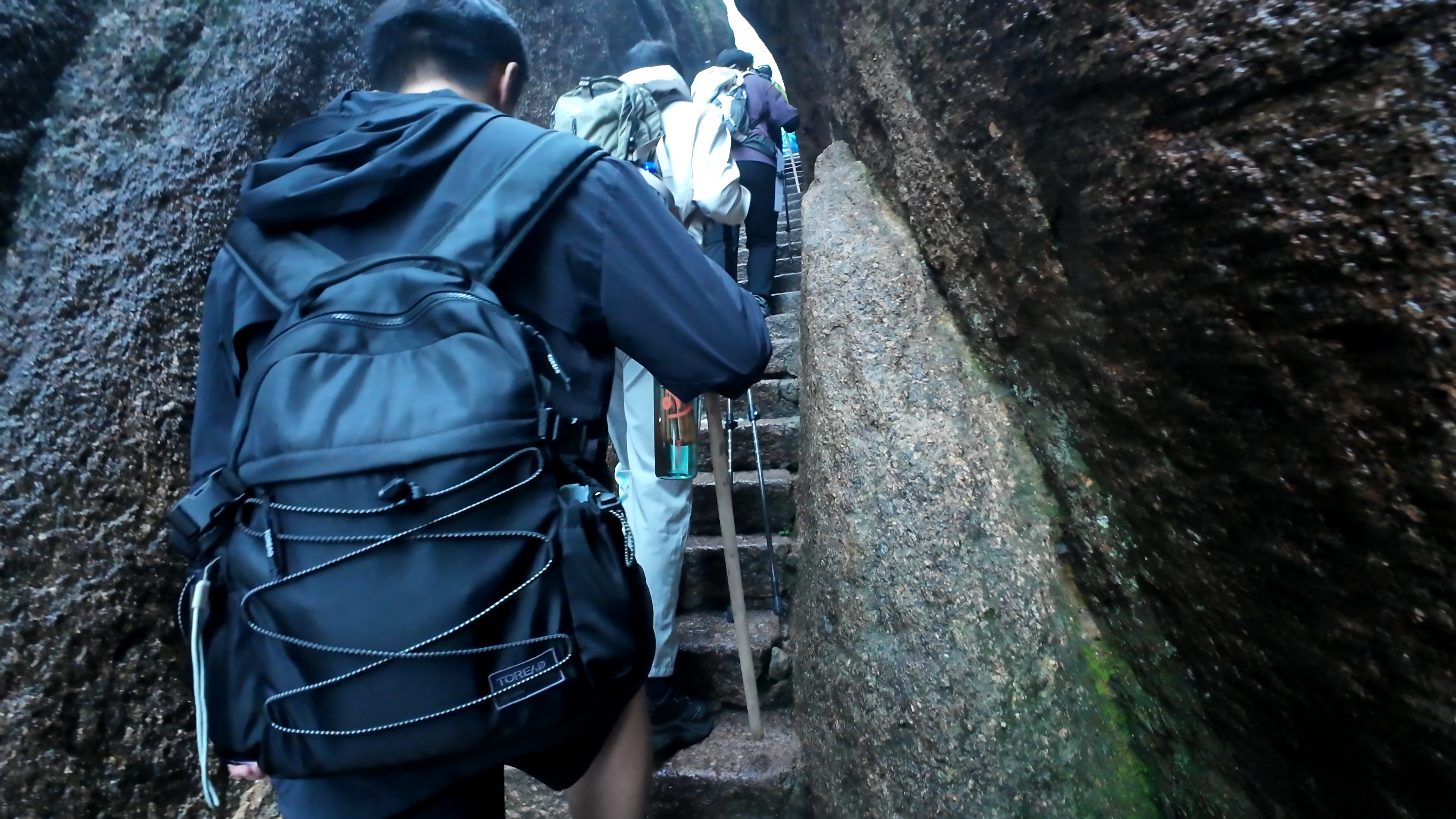 image-20250625104746645