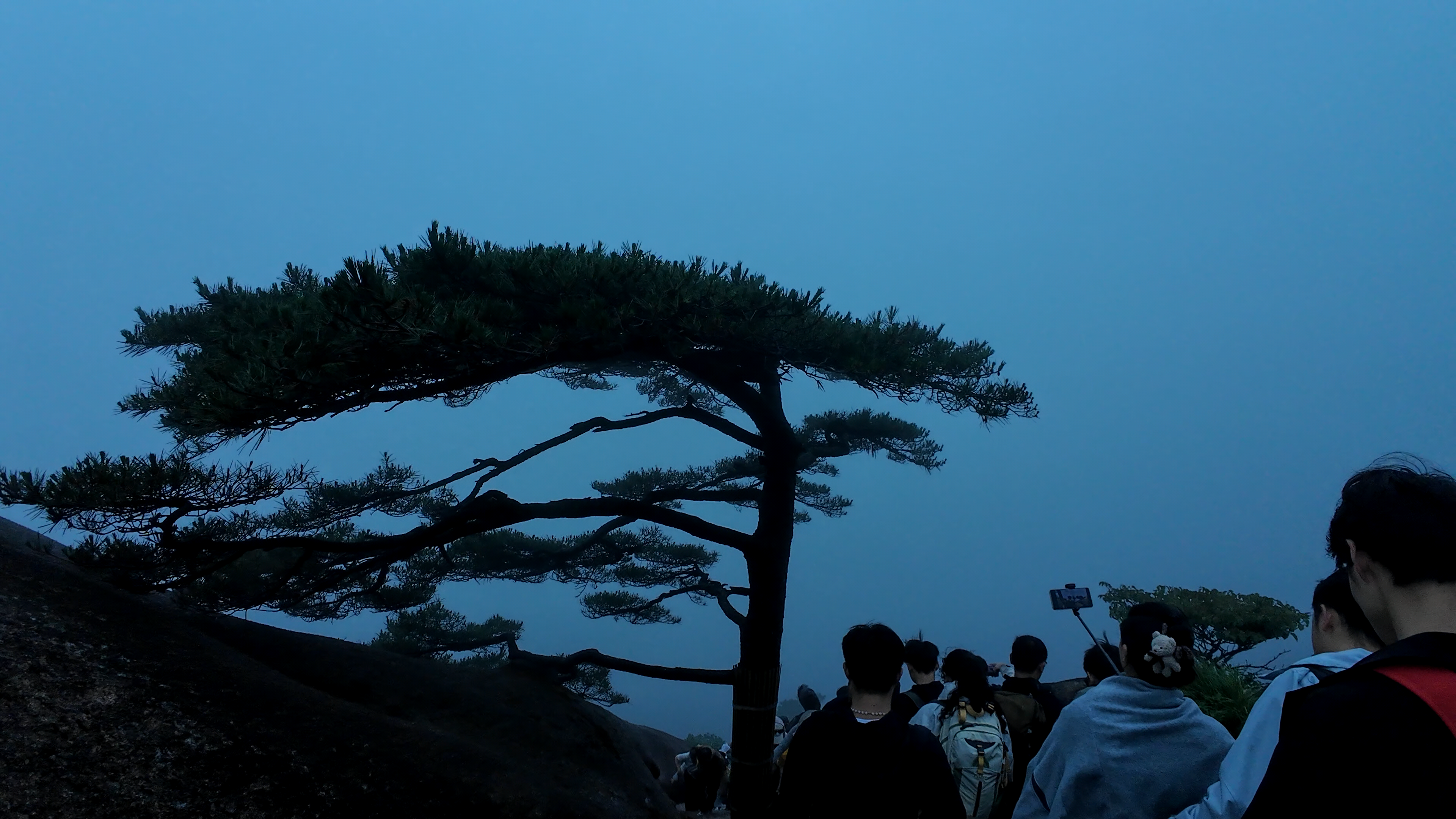 image-20250625105247649